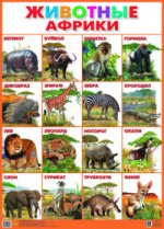 Плакат. Животные Африки (550х770)