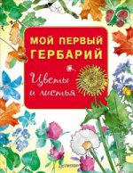 Мой первый гербарий.Цветы и листья