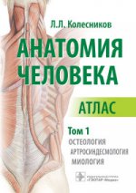 Анатомия человека. Атлас. Том 1: Остеология
