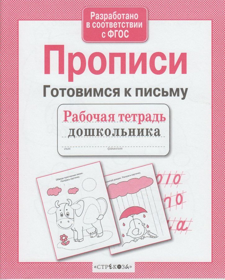 Прописи. Готовимся к письму