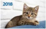 "Маленький котенок". Настенный трехблочный квартальный календарь на 2018 год с курсором в индивидуальной упаковке (Европакет)