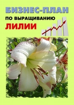 Бизнес-план по выращиванию лилии
