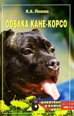 Собака Кане-Корсо
