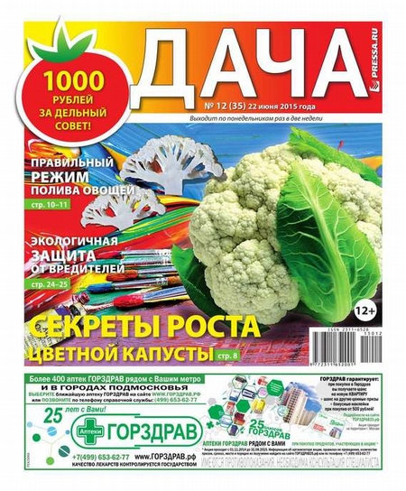 Дача Pressa.ru 12-2015