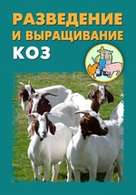 Разведение и выращивание коз