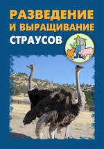 Разведение и выращивание страусов