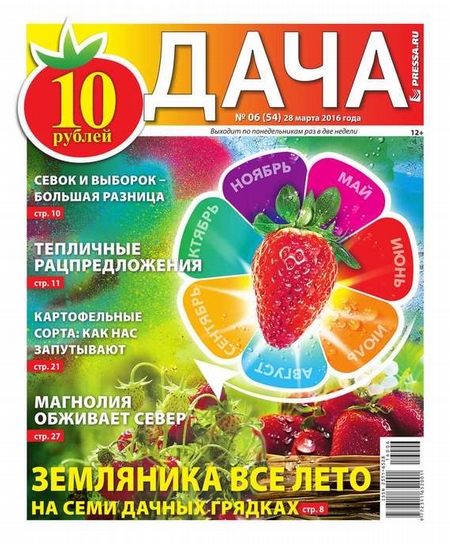 Дача Pressa.ru 06-2016