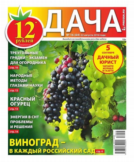 Дача Pressa.ru 16-2016