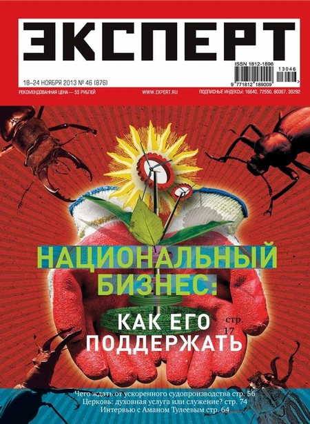 Эксперт №46/2013