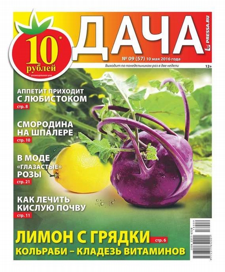 Дача Pressa.ru 09-2016