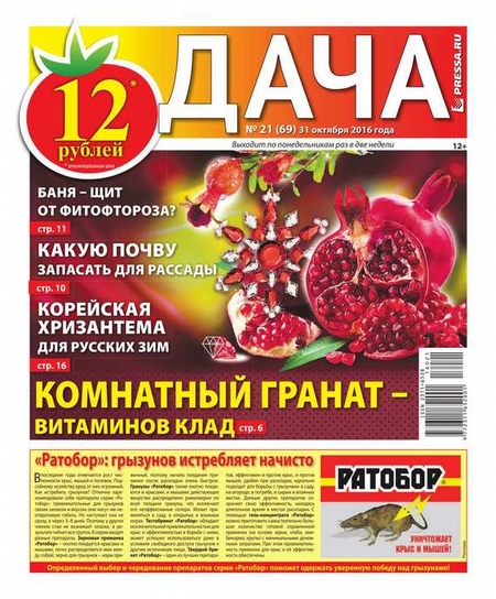 Дача Pressa.ru 21-2016