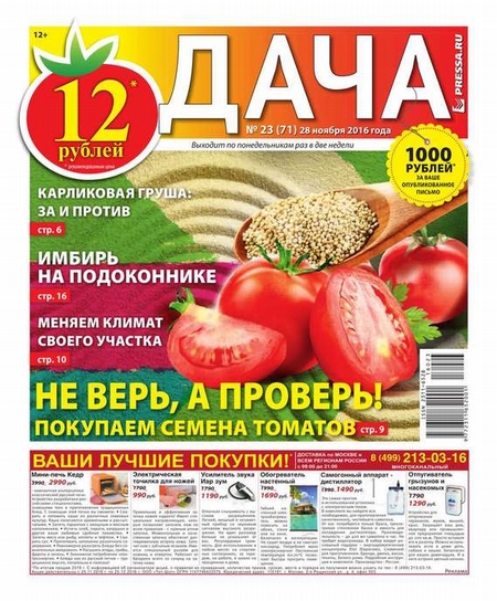 Дача Pressa.ru 23-2016