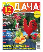 Дача Pressa.ru 24-2016
