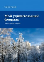 Мой удивительный февраль. Том 1. О личном и вечном
