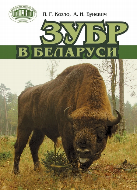 Зубр в Беларуси