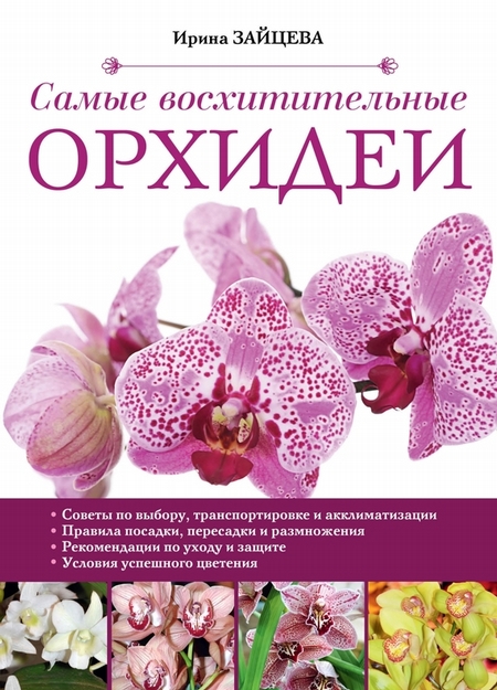 Самые восхитительные орхидеи