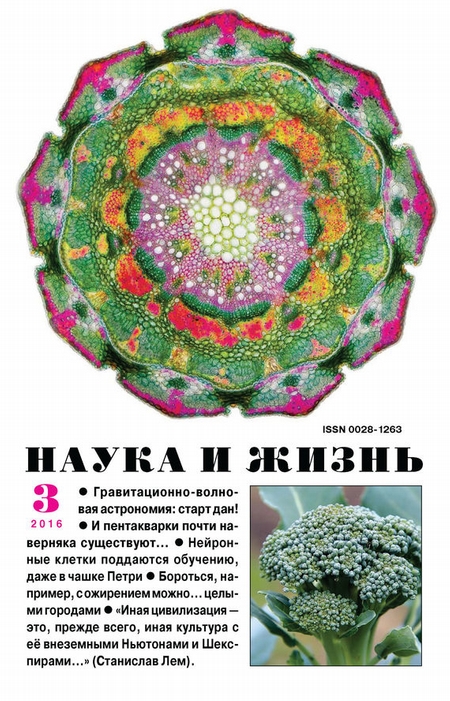 Наука и жизнь №03/2016