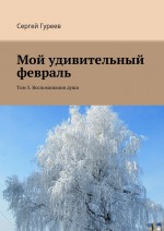 Мой удивительный февраль. Том 3. Воспоминания души