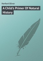 A Child`s Primer Of Natural History