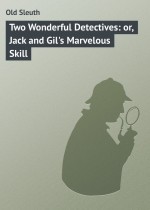 Two Wonderful Detectives: or, Jack and Gil`s Marvelous Skill