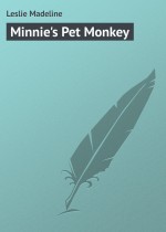 Minnie`s Pet Monkey