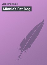 Minnie`s Pet Dog
