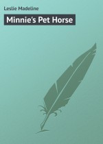 Minnie`s Pet Horse
