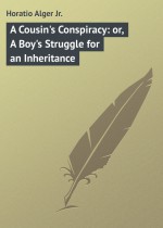 A Cousin`s Conspiracy: or, A Boy`s Struggle for an Inheritance