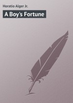A Boy`s Fortune