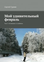 Мой удивительный февраль. Том 5. Остановись и улыбнись