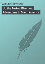 Up the Forked River: or, Adventures in South America