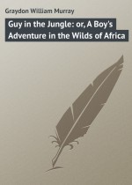 Guy in the Jungle: or, A Boy`s Adventure in the Wilds of Africa