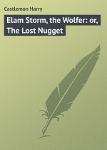 Elam Storm, the Wolfer: or, The Lost Nugget
