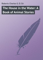 The House in the Water: A Book of Animal Stories