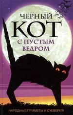 Черный кот с пустым ведром