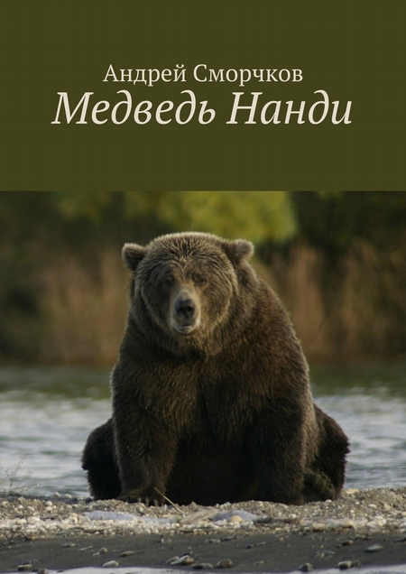 Медведь Нанди