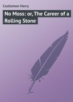 No Moss: or, The Career of a Rolling Stone
