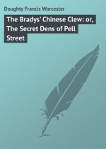 The Bradys` Chinese Clew: or, The Secret Dens of Pell Street