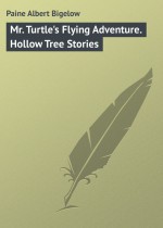 Mr. Turtle`s Flying Adventure. Hollow Tree Stories