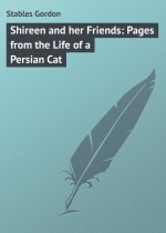 Shireen and her Friends: Pages from the Life of a Persian Cat
