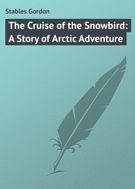 The Cruise of the Snowbird: A Story of Arctic Adventure