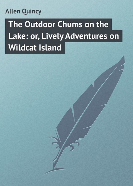 The Outdoor Chums on the Lake: or, Lively Adventures on Wildcat Island
