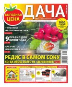 Дача Pressa.ru 07-2017