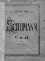 Robert Schumann`s Compositionen fur das Pianoforte