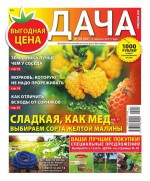 Дача Pressa.ru 08-2017