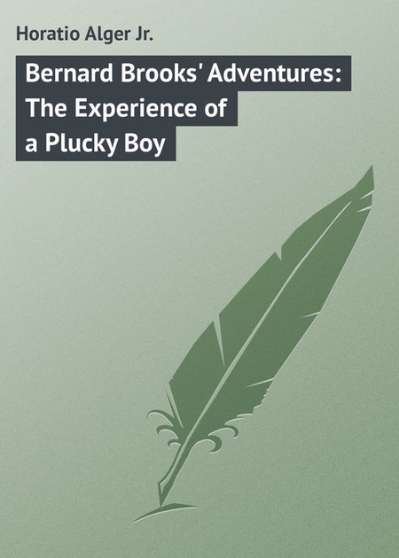 Bernard Brooks` Adventures: The Experience of a Plucky Boy