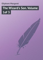 The Wizard`s Son. Volume 1of 3