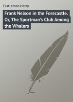 Frank Nelson in the Forecastle. Or, The Sportman`s Club Among the Whalers