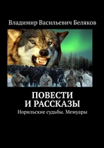 Норильские судьбы. Повести и рассказы. Мемуары