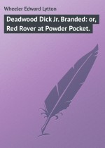 Deadwood Dick Jr. Branded: or, Red Rover at Powder Pocket